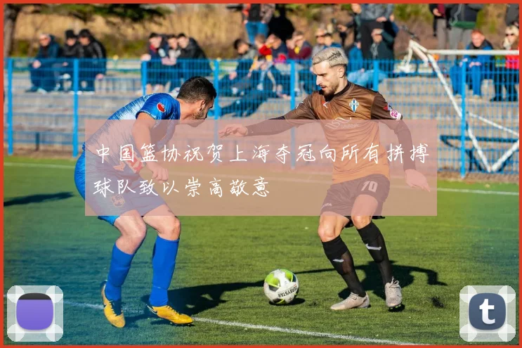 中国篮协祝贺上海夺冠向所有拼搏球队致以崇高敬意